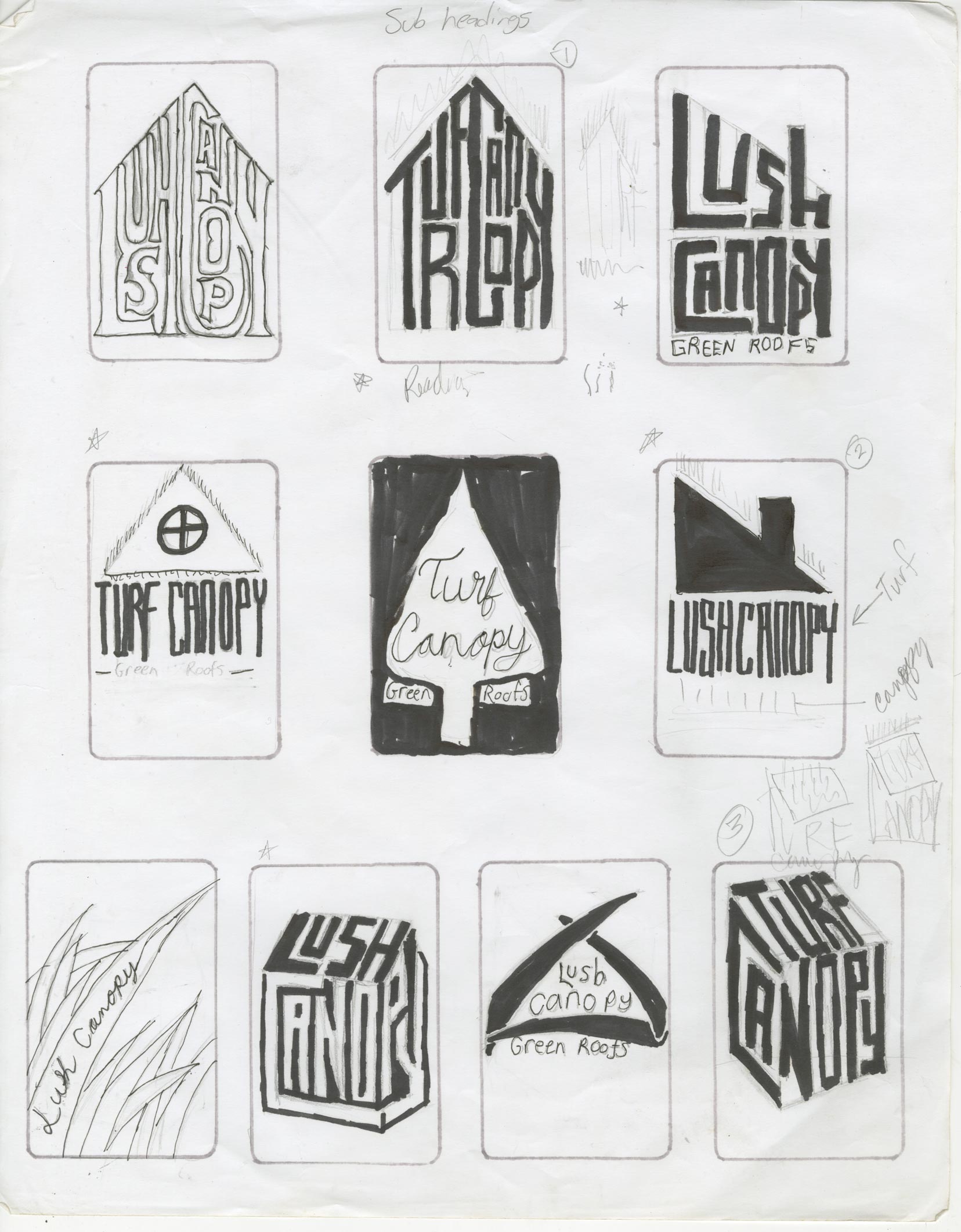 Turf Canopy Developement