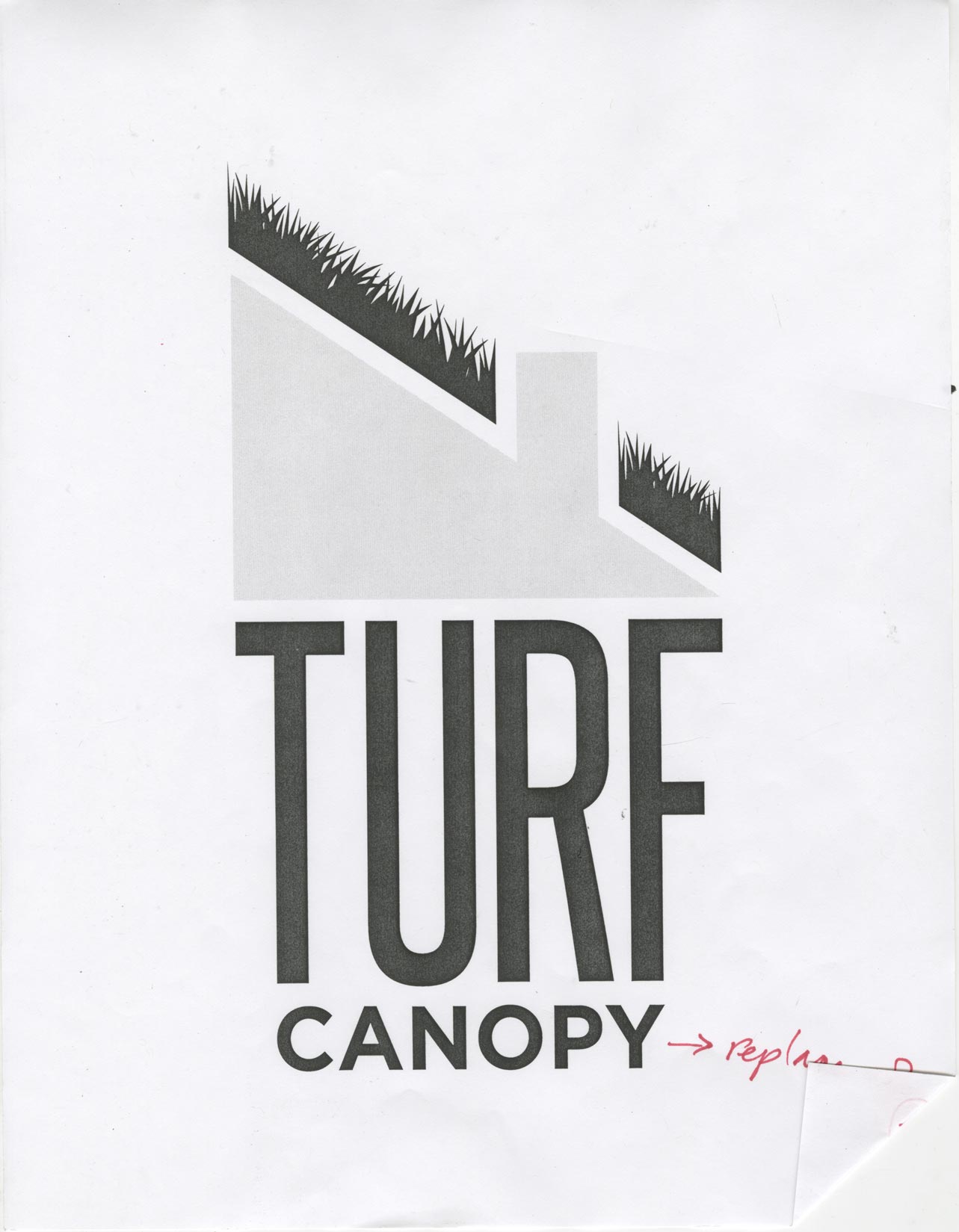 Turf Canopy Developement