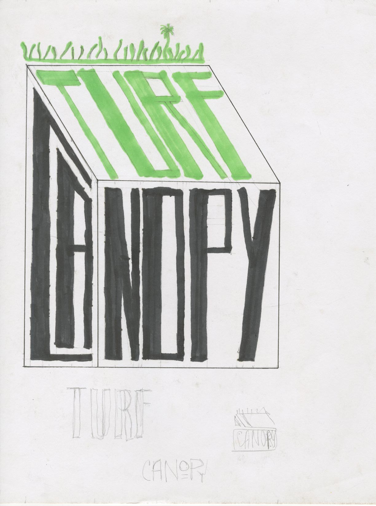 Turf Canopy Developement