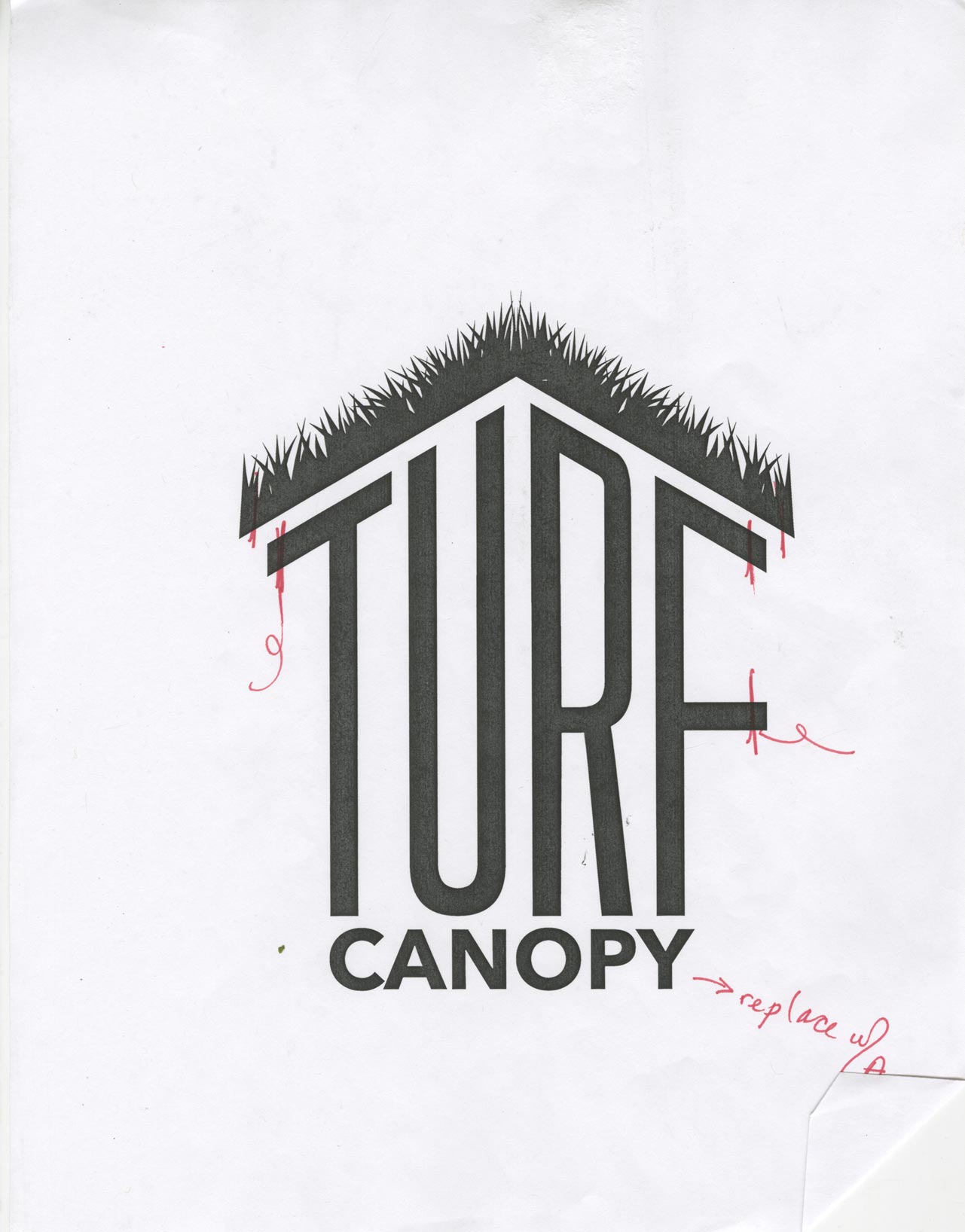 Turf Canopy Developement